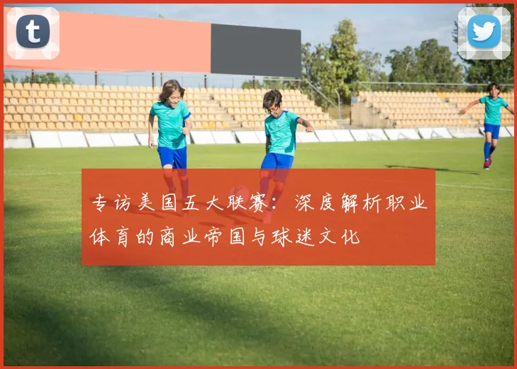 专访美国五大联赛:深度解析职业体育的商业帝国与球迷文化
